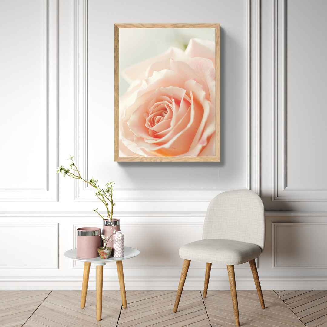 Roze- rozā I